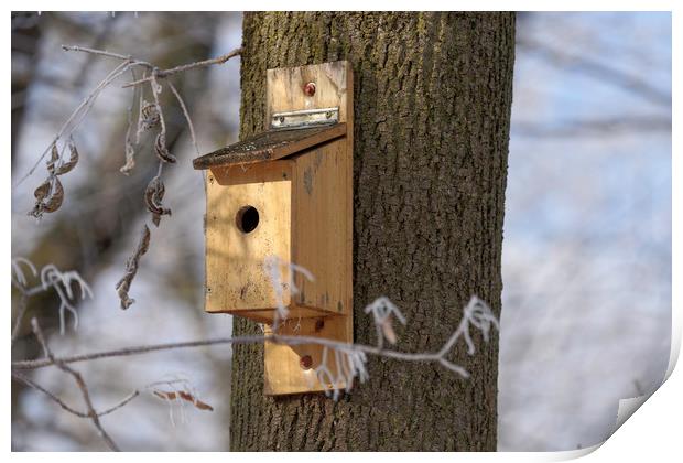 box for birds in tree Print by Adrian Bud