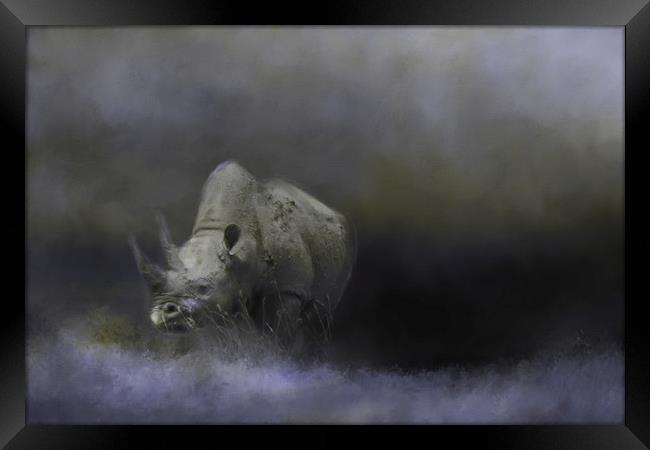 Rhino wanders the Ngorongoro Crater Framed Print by David Owen