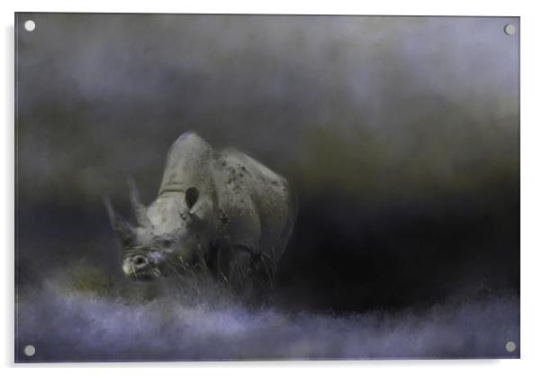 Rhino wanders the Ngorongoro Crater Acrylic by David Owen