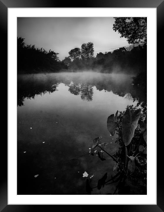 Misty Morning Framed Mounted Print by Indranil Bhattacharjee