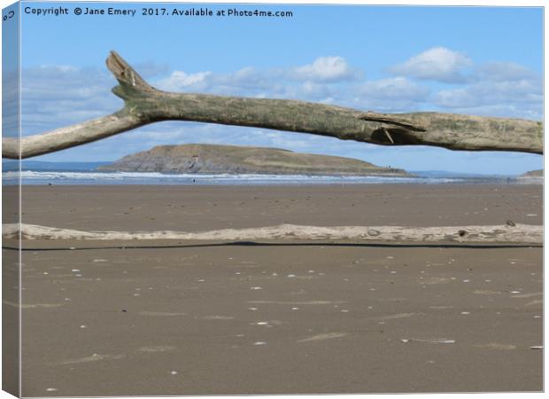 Driftwood with a View Canvas Print by Jane Emery