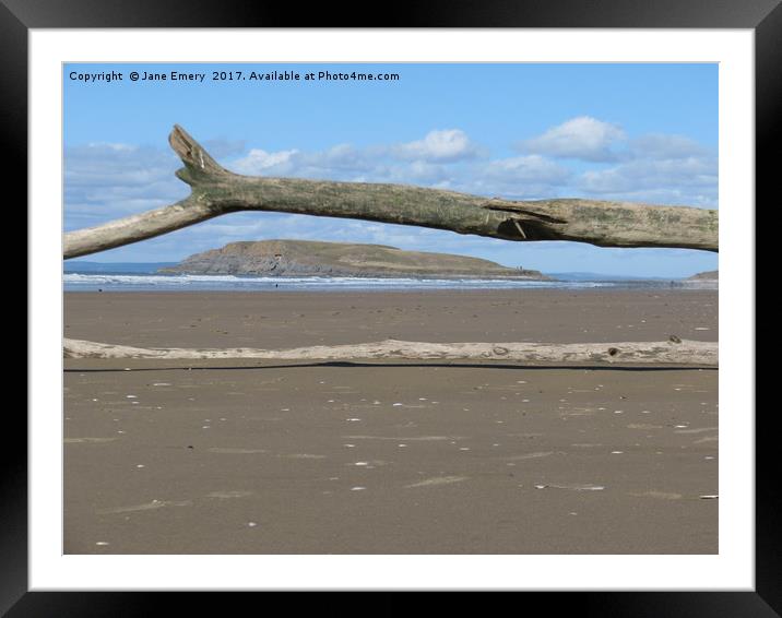 Driftwood with a View Framed Mounted Print by Jane Emery