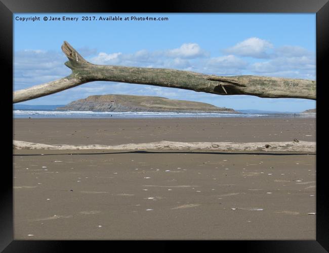 Driftwood with a View Framed Print by Jane Emery
