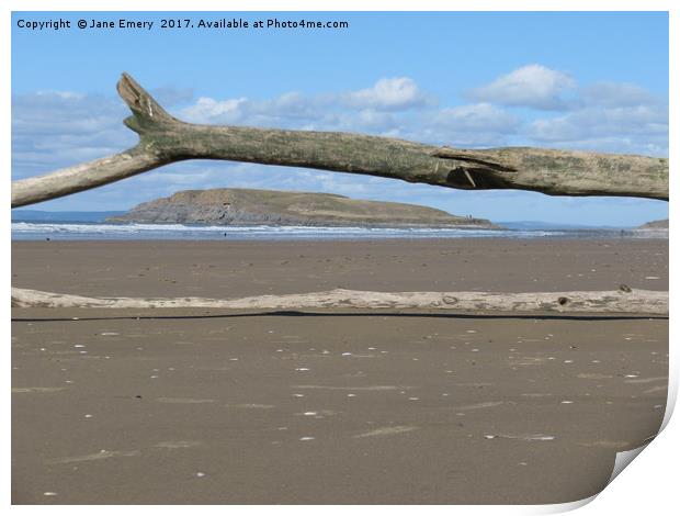 Driftwood with a View Print by Jane Emery