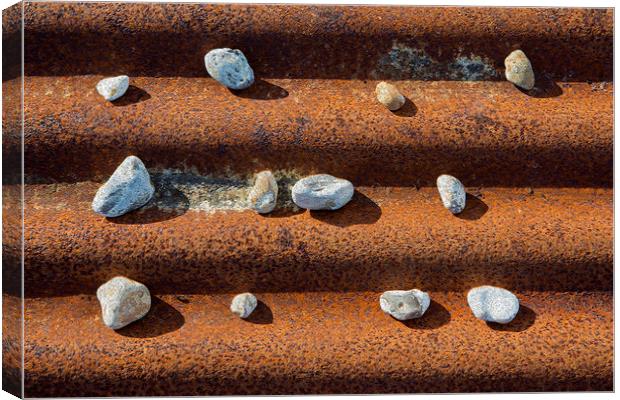 Pebbles on Rust Canvas Print by David Hare