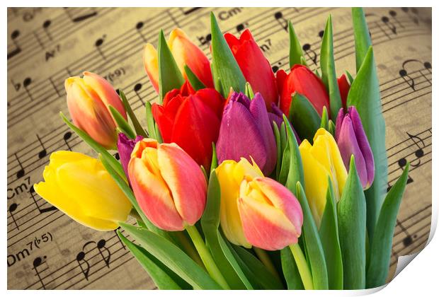 Tulips And Music Print by Steve Purnell