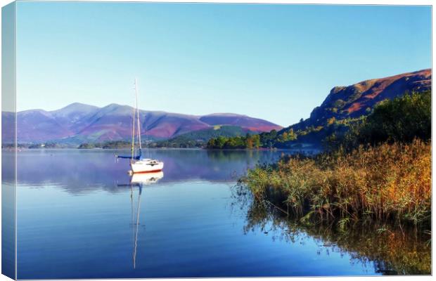 Boat at Derwent Water Canvas Print by Dave Leason