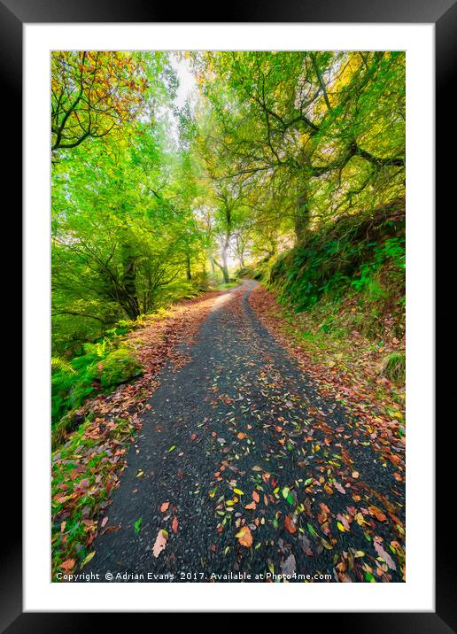 Autumn Way Framed Mounted Print by Adrian Evans