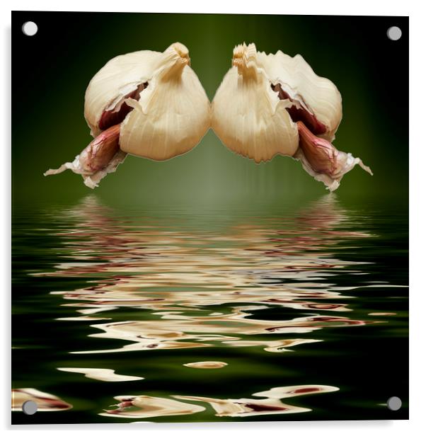 Garlic cloves of Garlic Acrylic by David French