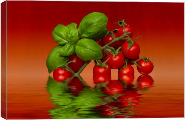 Plum Cherry Tomatoes Basil Canvas Print by David French