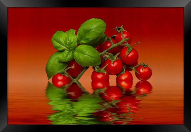 Plum Cherry Tomatoes Basil Framed Print by David French