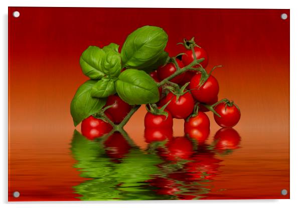 Plum Cherry Tomatoes Basil Acrylic by David French