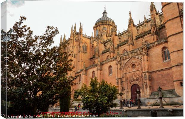 View of Cathedral of Salamanca Canvas Print by Igor Krylov