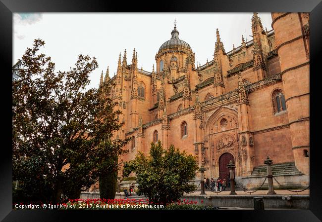 View of Cathedral of Salamanca Framed Print by Igor Krylov
