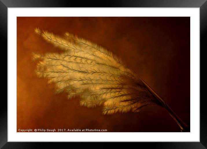 Elephant Grass Framed Mounted Print by Philip Gough