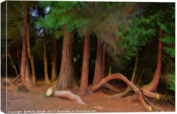 Mystery Forest Canvas Print by Philip Gough