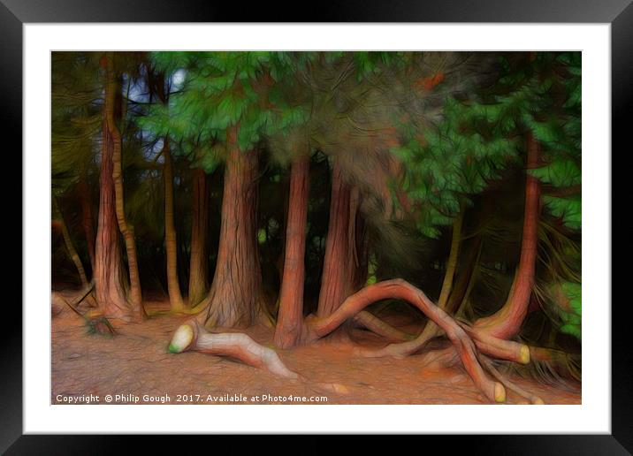 Mystery Forest Framed Mounted Print by Philip Gough