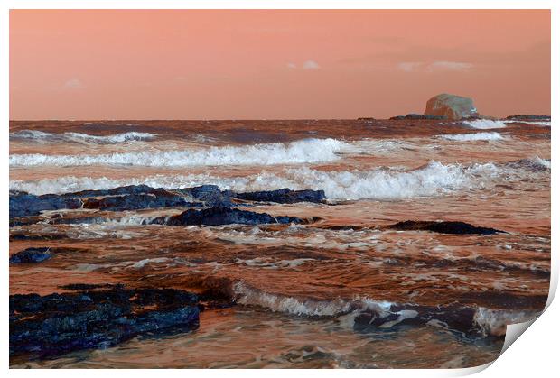 Bass Rock from North Berwick Print by Alan Barnes