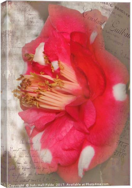 Flowery Memory Canvas Print by Judy Hall-Folde