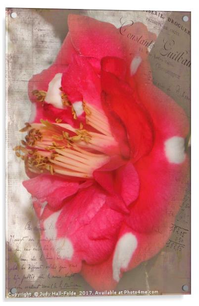 Flowery Memory Acrylic by Judy Hall-Folde