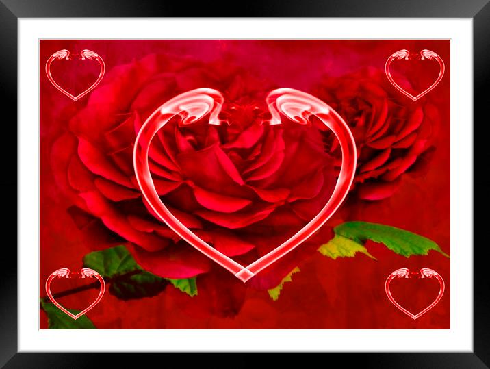 Hearts And Roses Framed Mounted Print by Steve Purnell