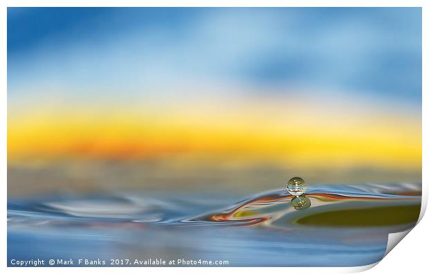 Water Droplet Print by Mark  F Banks