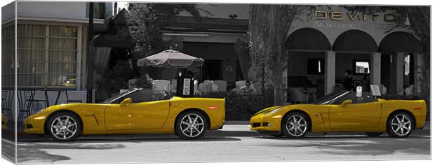 Twin Ferrari's Canvas Print by Elaine Young