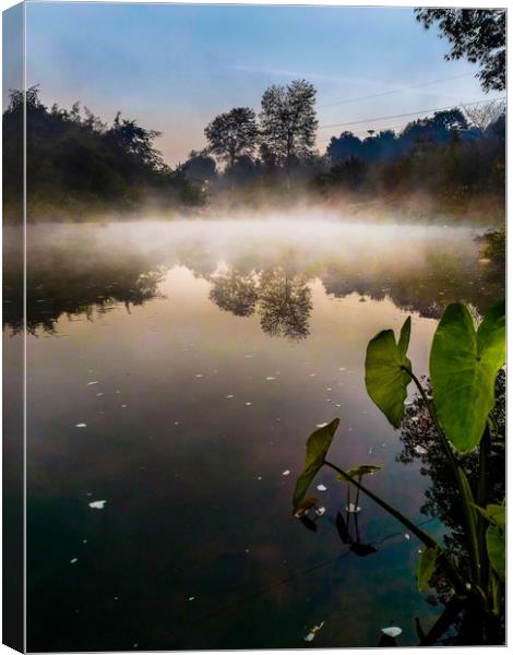 Dawn on River Sona Canvas Print by Indranil Bhattacharjee