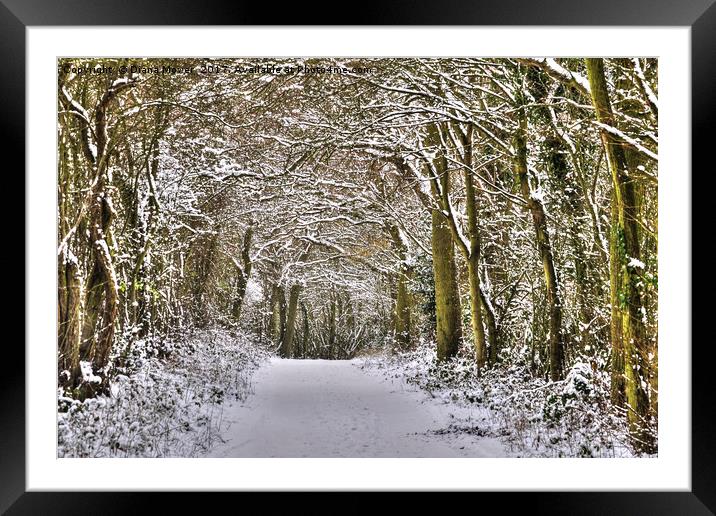 Winter in Essex Framed Mounted Print by Diana Mower