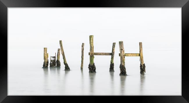 old jetty in the mist Framed Print by Alf Damp