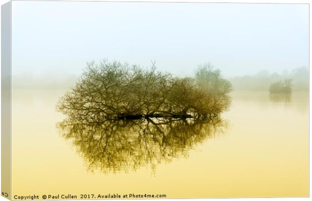 Trees in the fog. Canvas Print by Paul Cullen