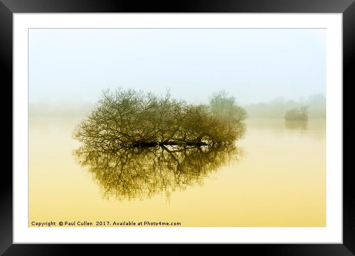 Trees in the fog. Framed Mounted Print by Paul Cullen