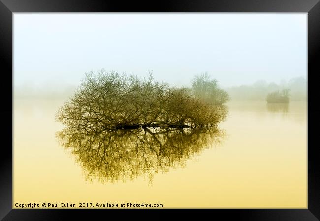 Trees in the fog. Framed Print by Paul Cullen