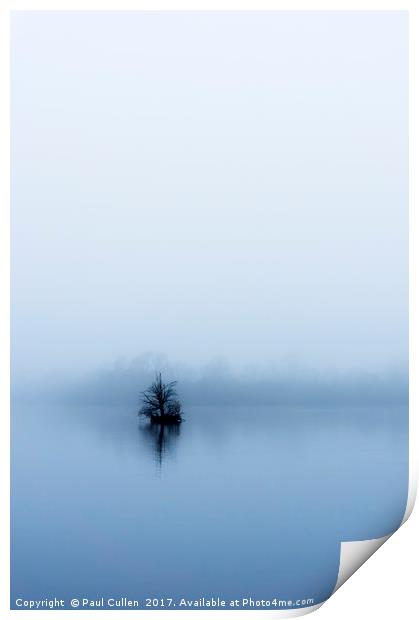 Minimalist Tree in the fog. Print by Paul Cullen