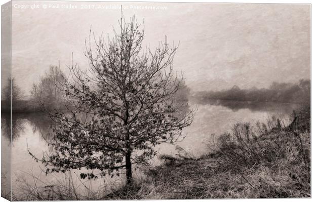 Riverside tree in the fog. Canvas Print by Paul Cullen
