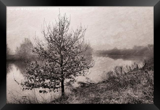 Riverside tree in the fog. Framed Print by Paul Cullen
