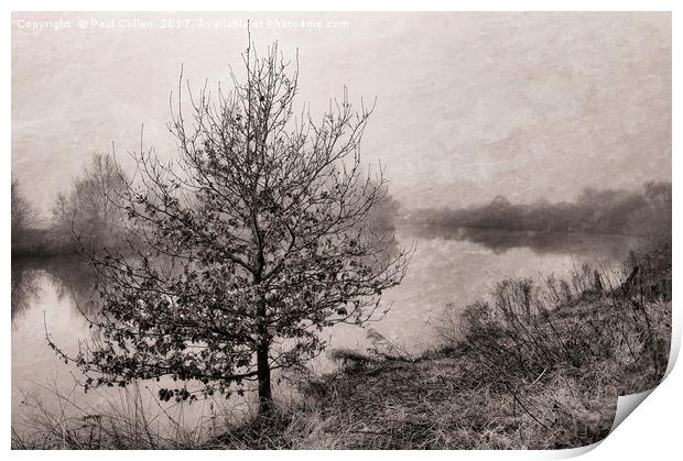 Riverside tree in the fog. Print by Paul Cullen