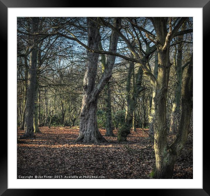 The woodland light Framed Mounted Print by Jon Fixter