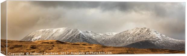 Black Mount Canvas Print by Anthony Jacobson