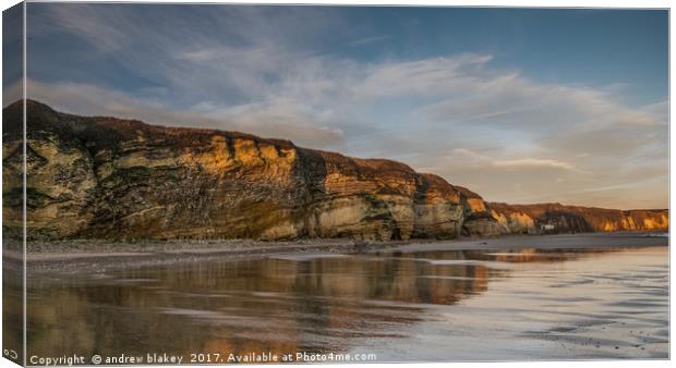 Golden Reflections at Marsden Bay Canvas Print by andrew blakey