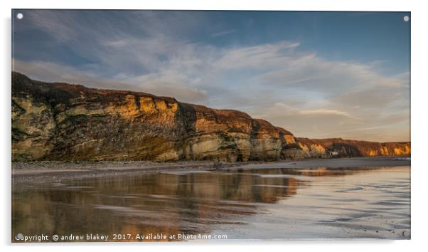 Golden Reflections at Marsden Bay Acrylic by andrew blakey