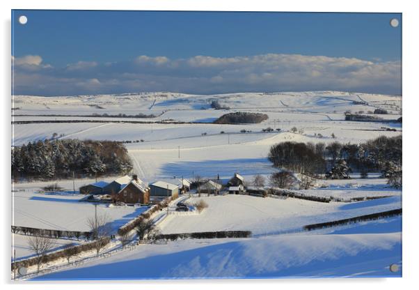 Till Valley, Northumberland in Winter Acrylic by Alan Barnes
