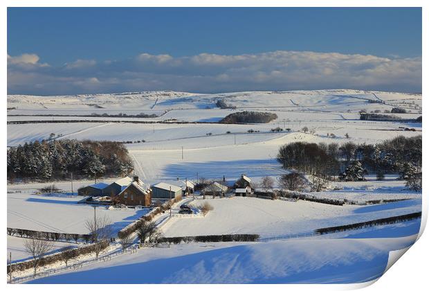 Till Valley, Northumberland in Winter Print by Alan Barnes