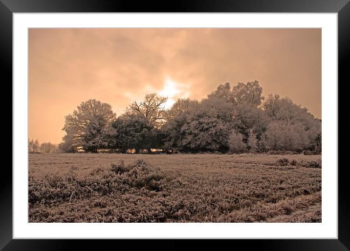 Winter sunset on the Ashdown Forest,Sussex Framed Mounted Print by Alan Barnes