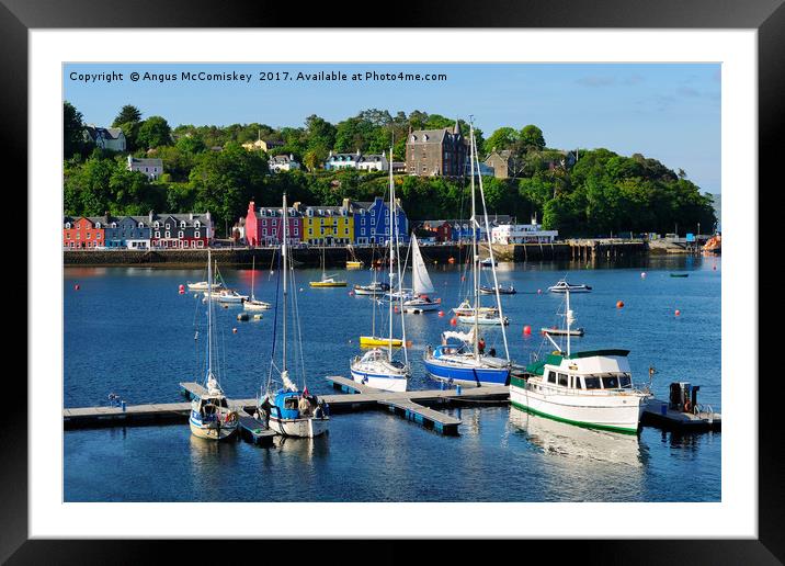 View across yacht marina to Tobermory Framed Mounted Print by Angus McComiskey