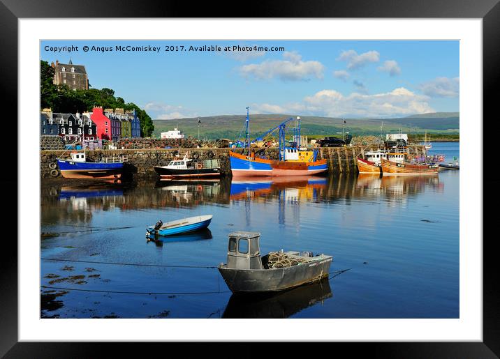 Colourful boats in Tobermory harbour  Framed Mounted Print by Angus McComiskey