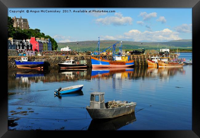 Colourful boats in Tobermory harbour  Framed Print by Angus McComiskey