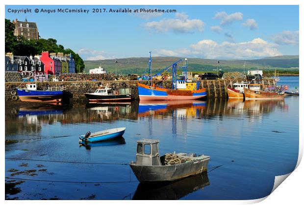 Colourful boats in Tobermory harbour  Print by Angus McComiskey