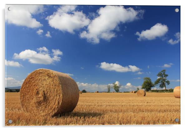 Straw bales in a stubble field Acrylic by Alan Barnes