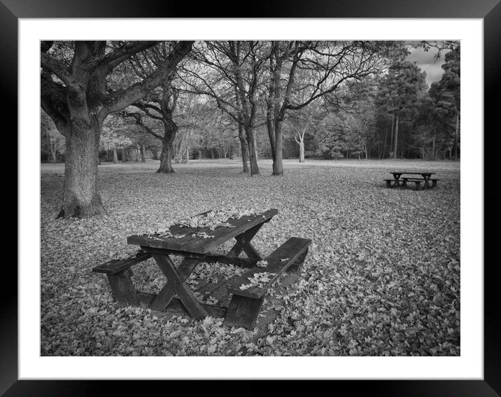 Infrared Woodland Walk Framed Mounted Print by Sarah Pymer